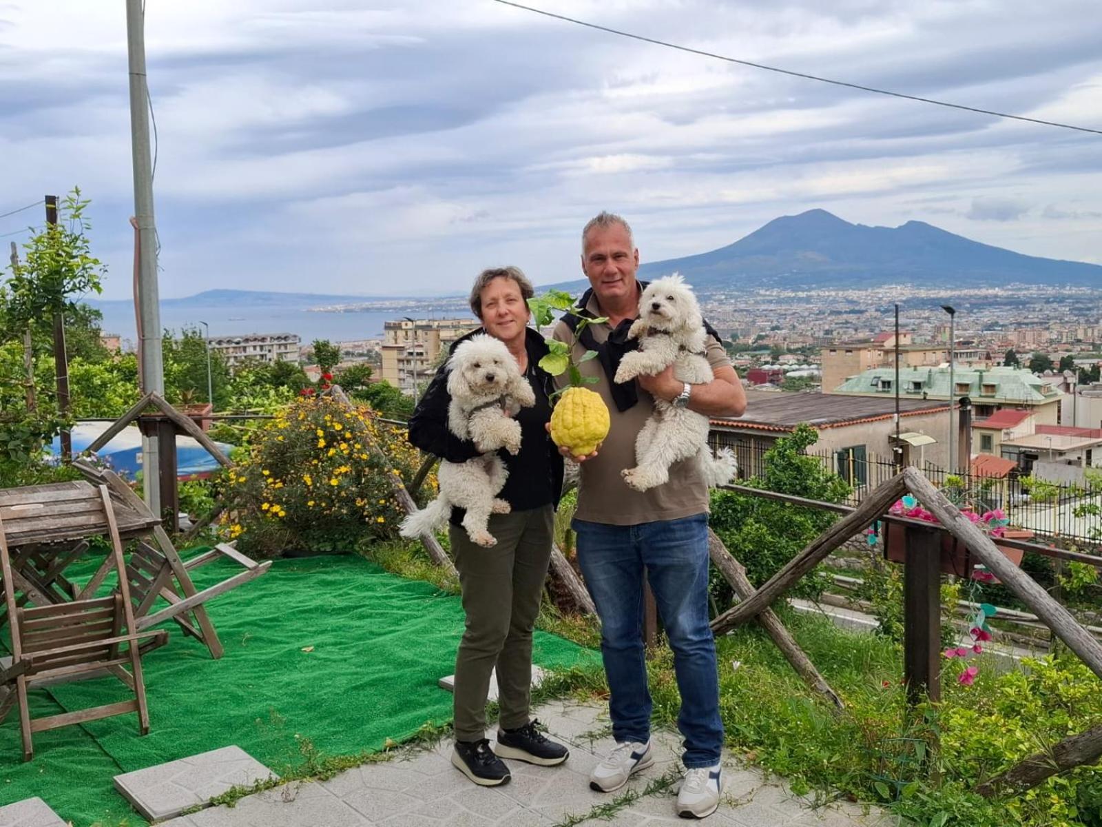 B&B Il Limoneto Gragnano Luaran gambar